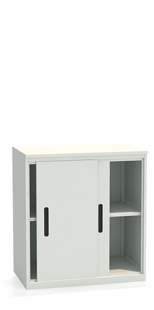 Шкаф-купе архивный ALS-8896 купить в Краснодаре