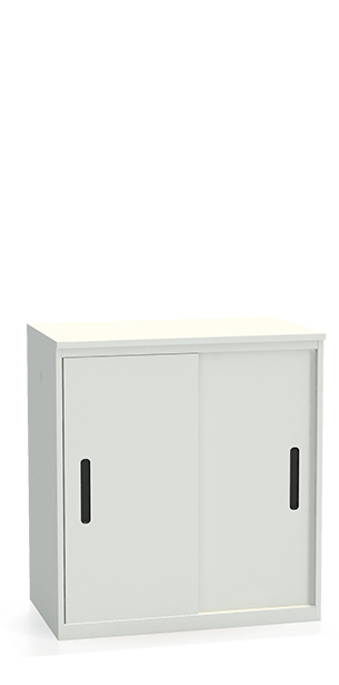 Шкаф-купе архивный ALS-8896 купить в Краснодаре